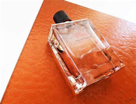 Terre d’Hermès EDT Review: A Veritable Modern .